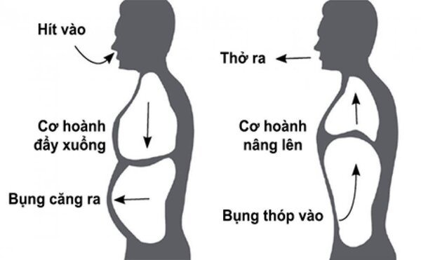 Ảnh minh họa giúp bạn dễ hình dung hơn khi tập thở đều