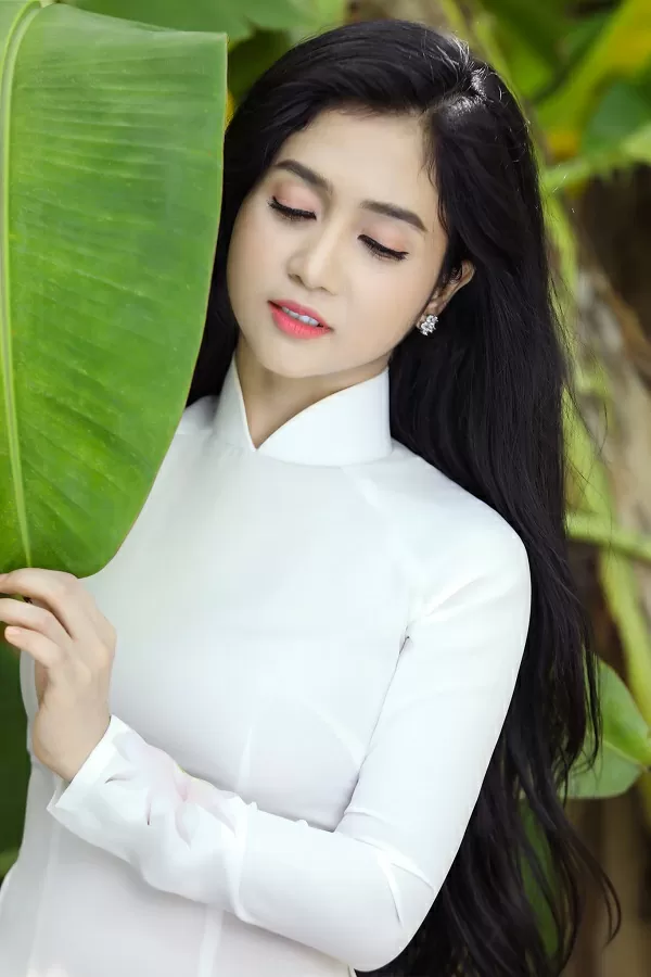 tieu-su-ca-si-phuong-anh